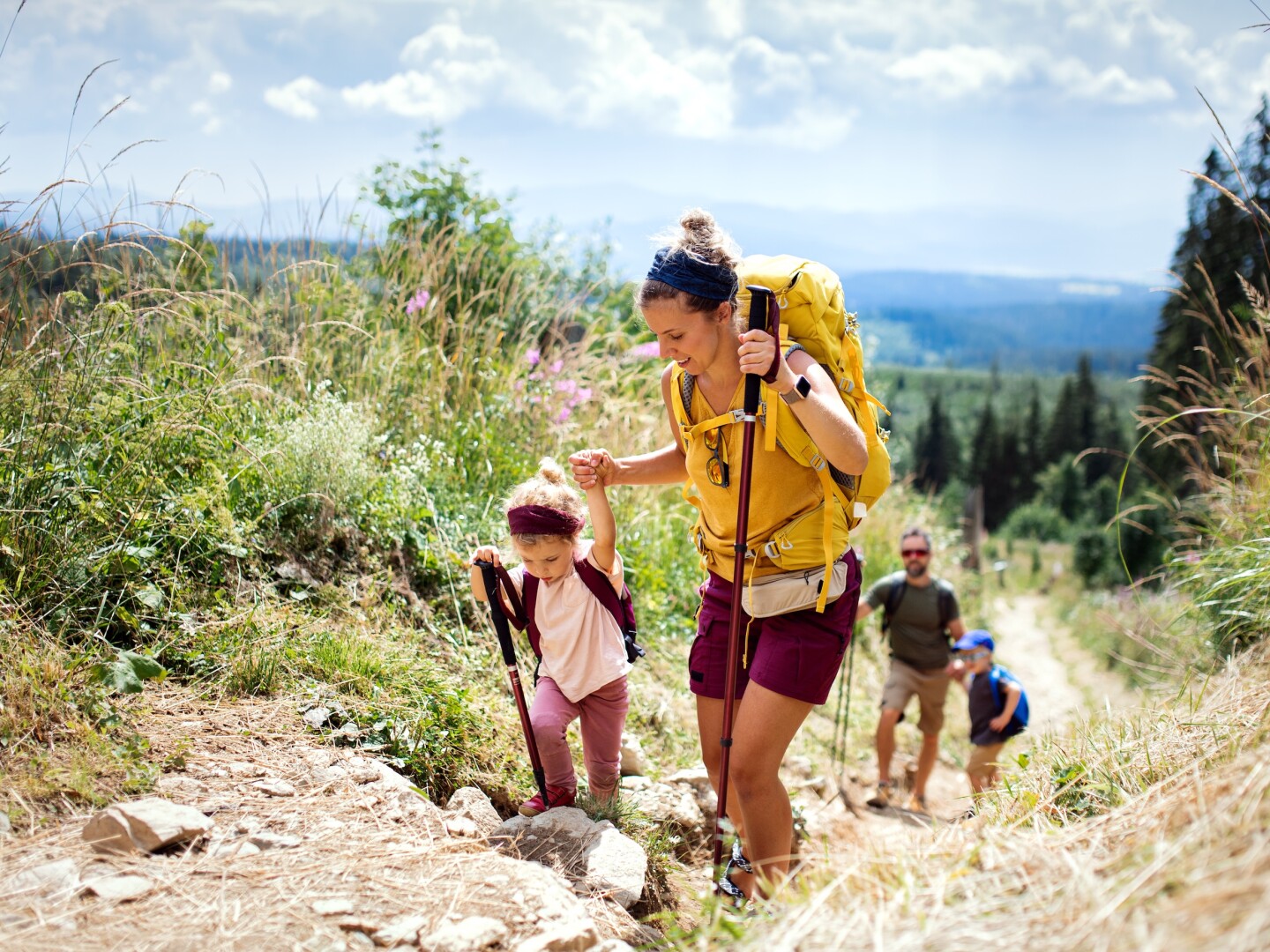 夏の自然の中でアウトドアをハイキングし、ハイタトラスを歩く小さな子供たちと家族。